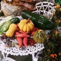 种田吃瓜,种田吃瓜的悠然时光