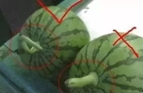 怎么吸引吃瓜网友,如何轻松吸引吃瓜网友的关注