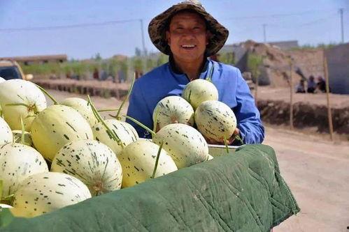 逛吃扬州瓜州,寻味古韵,畅游美食之旅