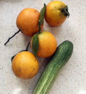 吃瓜橙多,揭秘娱乐圈背后的甜蜜与苦涩