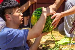 椰崽吃瓜,揭秘娱乐圈那些不为人知的幕后故事