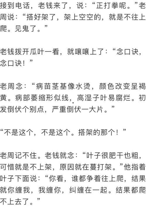 吃瓜群众周记,揭秘娱乐圈幕后故事