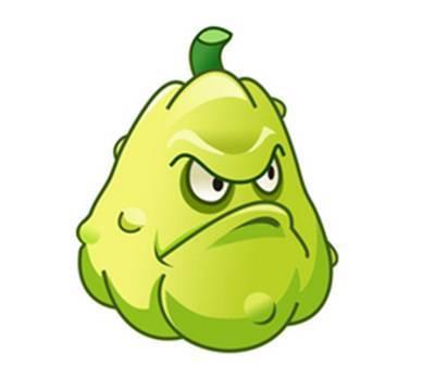 吃窩瓜妤么,探寻传统吃法与养生之道