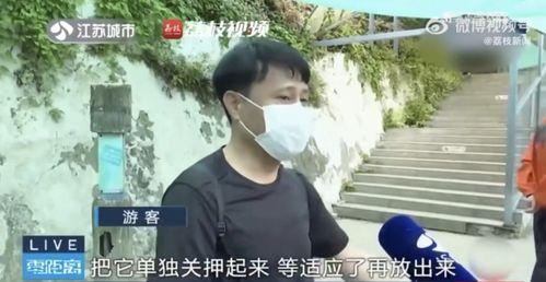 吃瓜女生被霸凌,吃瓜女生遭遇霸凌的痛楚与反思