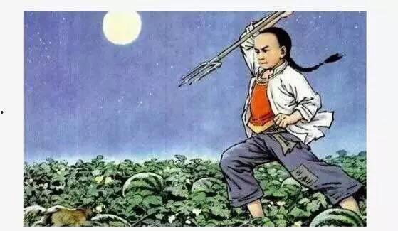 瓜吃猹,一场独特的美食之旅