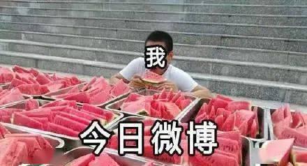 网友吃瓜故事,网友吃瓜故事揭秘幕后真相