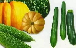 烟雨吃瓜后续,揭秘娱乐圈背后的风云变幻