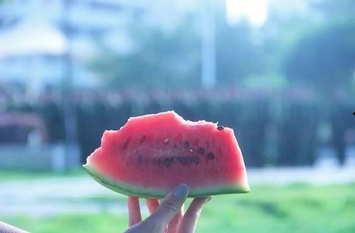 带你吃瓜之风筝,带你吃瓜之风筝文化探秘