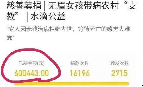 真心喜欢吃瓜,揭秘真心喜欢吃瓜的奇妙世界