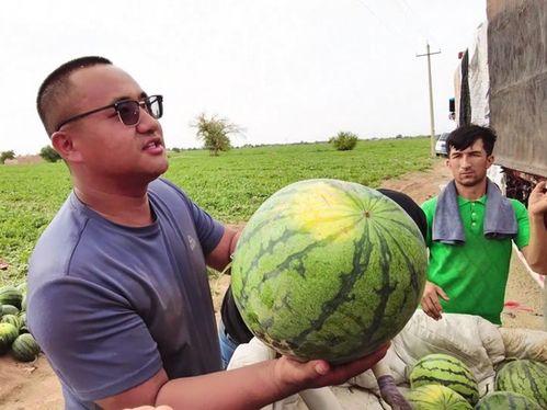 暗示吃瓜的图片