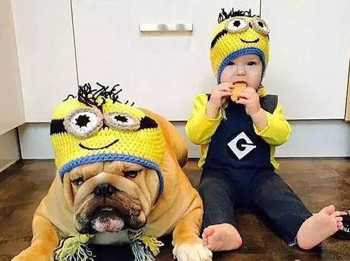 小瓜狗狗可以吃吗怎么吃,如何安全喂食小瓜给爱犬