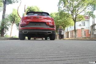 提车吃瓜,一场别开生面的“吃瓜”盛宴