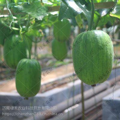 Apple吃瓜汇总,揭秘科技巨头背后的故事与争议