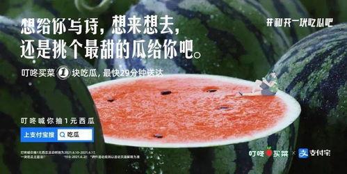 入冬吃瓜文案,暖意盈怀——入冬吃瓜指南