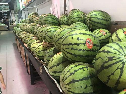 金山吃瓜,揭秘娱乐圈幕后故事