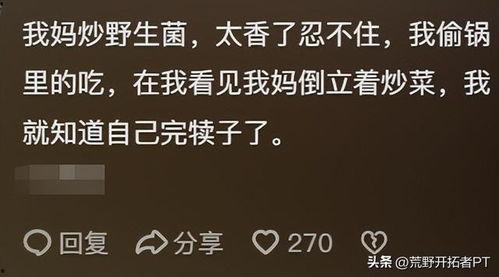 吃瓜吃到感悟人生