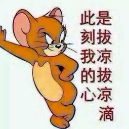 歪歪瓜怎么吃,解锁美味新体验