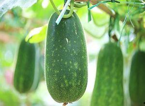 3号线吃瓜,揭秘地铁三线的吃瓜故事