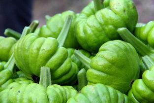 姜柄瓜发霉可以吃