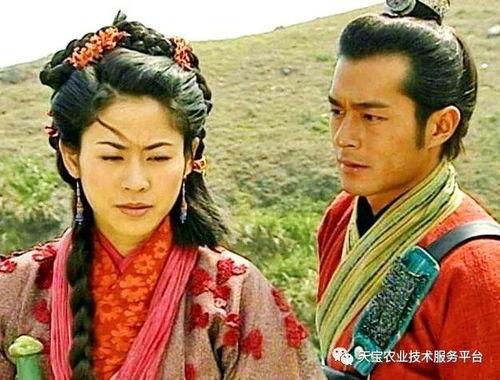 穿越到秦朝吃瓜,见证历史瓜田里的风云变幻