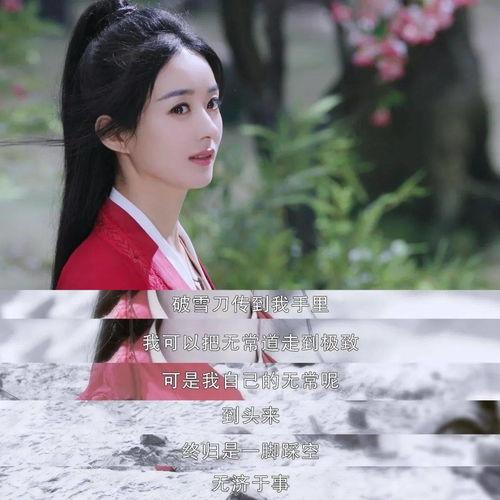 吃瓜追剧合集,年度热门剧集大盘点