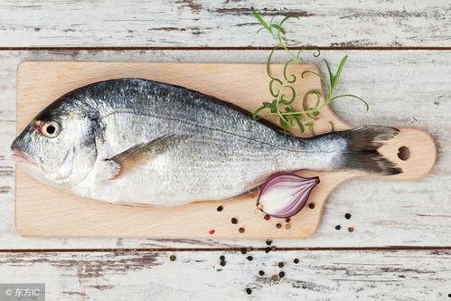 怎样吃八瓜鱼,解锁美味吃法，尽享海鲜盛宴