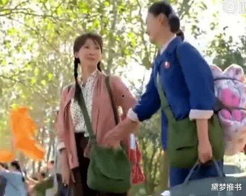 吃瓜观众年代文