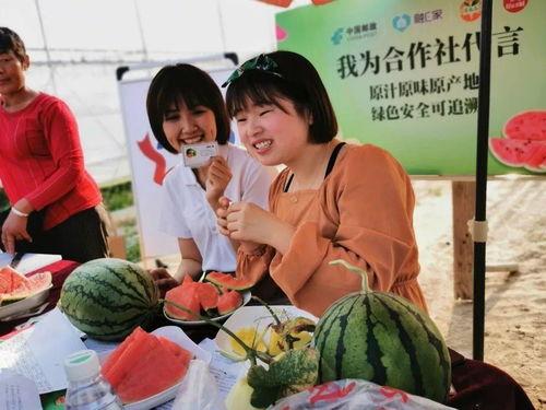 邮政吃瓜的活动,夏日邮递趣味活动大放送
