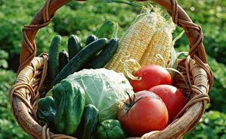 彦回文化吃瓜,揭秘吃瓜背后的趣味与智慧