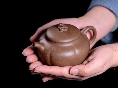 绝代风华茶壶吃瓜无畏