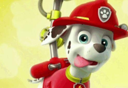 汪汪队吃瓜集,欢乐逗趣的夏日冒险之旅