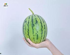 评测吃瓜,揭秘热门事件背后的真相与笑料