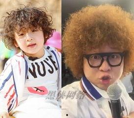 吃瓜小卷毛,揭秘娱乐圈那些不为人知的幕后故事