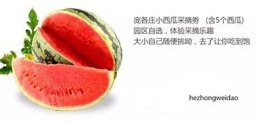 吃瓜偷禾,揭秘农村生活中的趣味与智慧